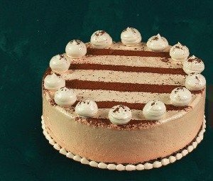 Tiramisu T1